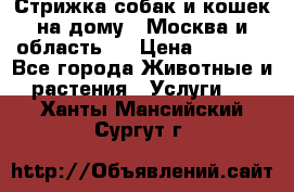 Стрижка собак и кошек на дому.  Москва и область.  › Цена ­ 1 200 - Все города Животные и растения » Услуги   . Ханты-Мансийский,Сургут г.